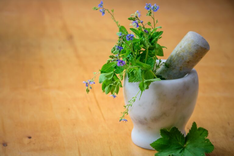 The Power of Botanical Extracts in Modern Nutrition